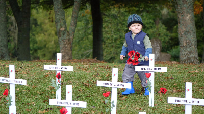 Young child in Tunnellers Field of white crosses